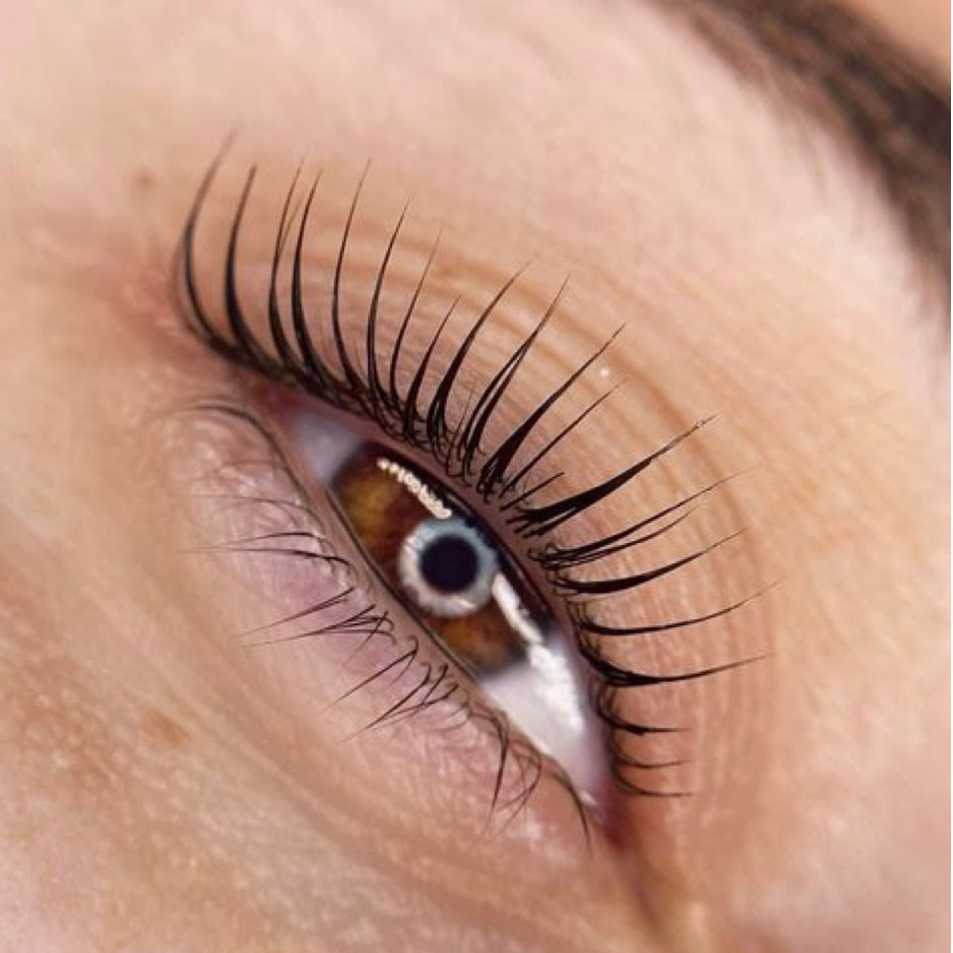 Image de diapositive