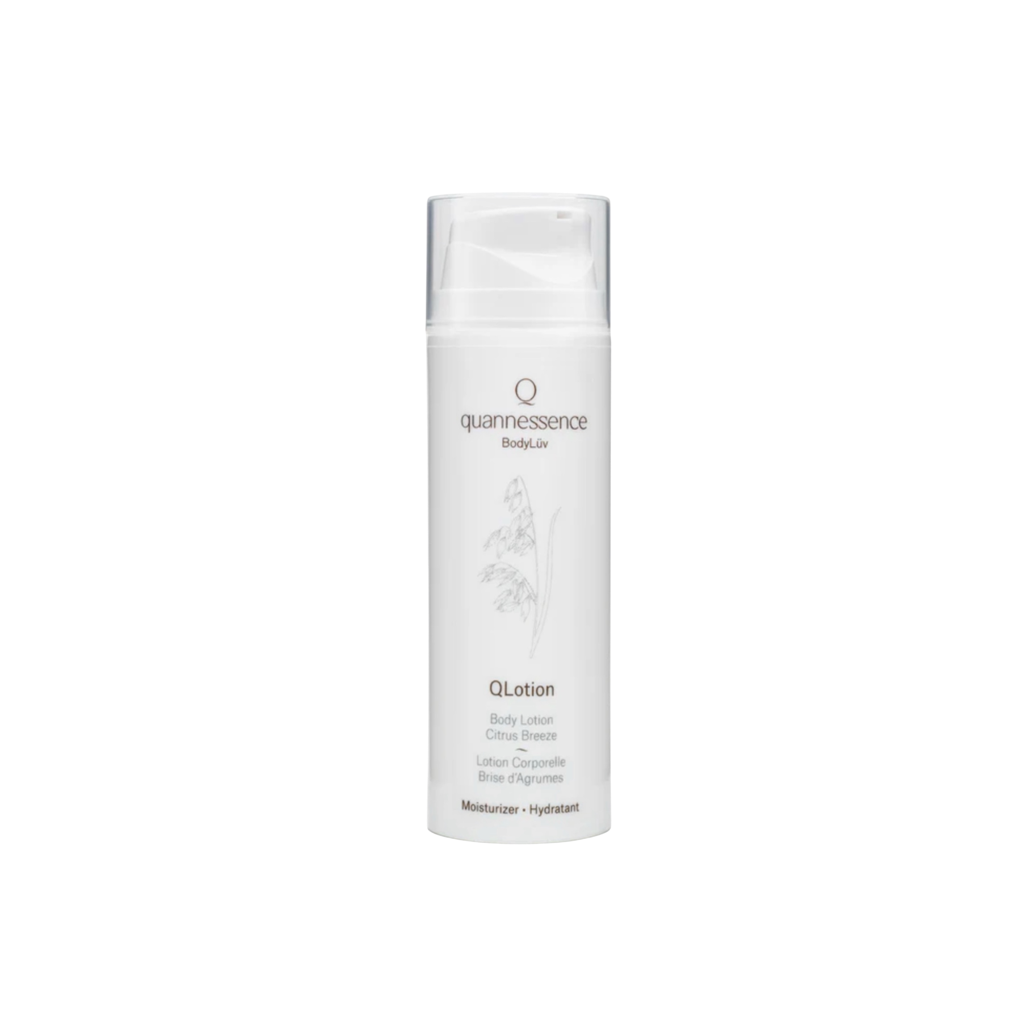 Image de diapositive